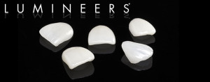 lumineers-shells-web-image